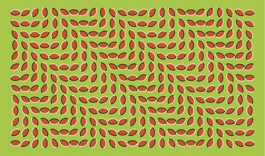 Las mejores ilusiones ópticas que engañarán a su cerebro
