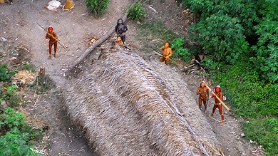 La tribu que recientemente salió al mundo regresa a la selva a pesar de los peligros