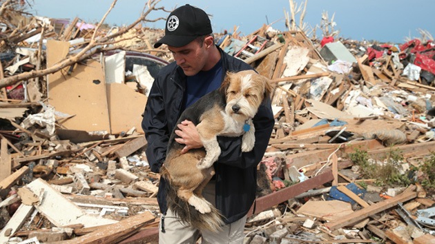 Ladridos bajo los ladrillos: Al rescate de las mascotas tras el tornado en Oklahoma