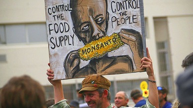 El mundo grita "no" a Monsanto y productos transgénicos