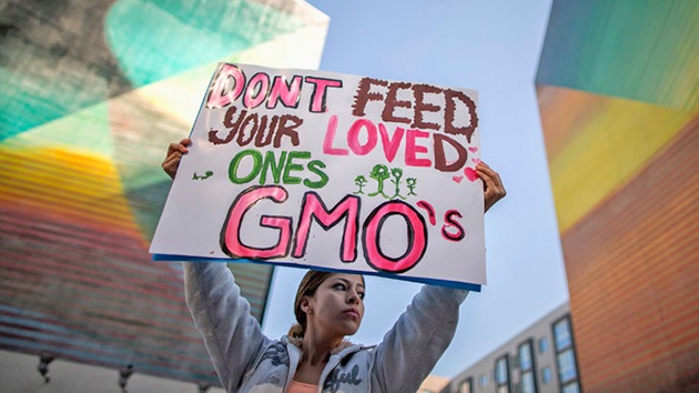 EE.UU. admite que el cultivo de OMG es preocupante