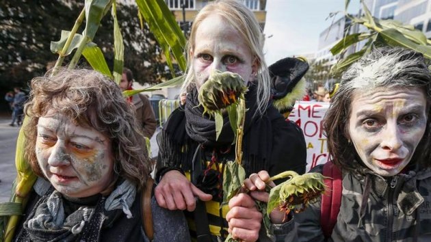 Fotos: Grito de protesta global contra Monsanto