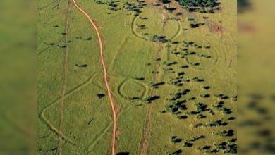 Descubren restos de civilización desconocida en el Amazonas