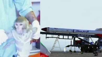 Video, Fotos: Irán lanza un mono al espacio