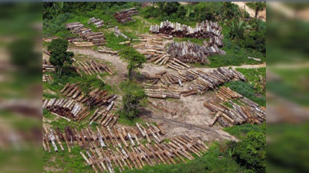 Amazonía peruana en riesgo de quedar en manos de empresas multinacionales