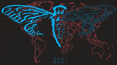 El misterio de Cicada 3301: ¿quién está detrás del mayor rompecabezas de Internet?