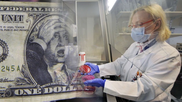 ¿Qué bacterias hay en los billetes de dólar y qué enfermedades provocan?