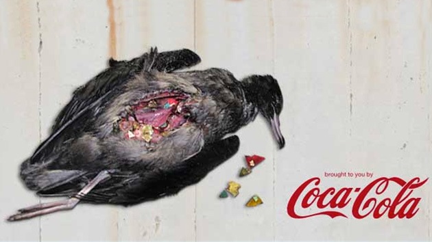Video: Coca-Cola prueba su medicina: un spot de Greenpeace le atribuye la muerte de aves