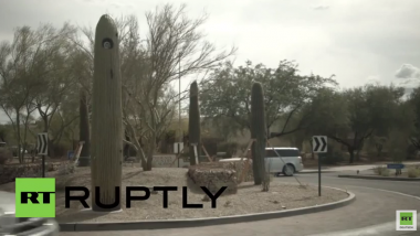 USA – Big Brother is watching you: Stadt in Arizona versteckt Kameras in gefälschten Kakteen