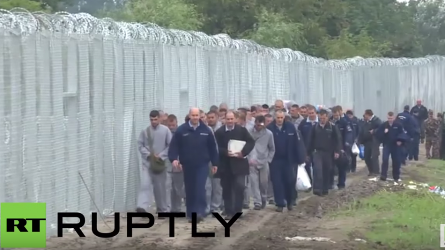 Häftlinge stellen Zaun gegen Flüchtlinge an Ungarns Grenze fertig
