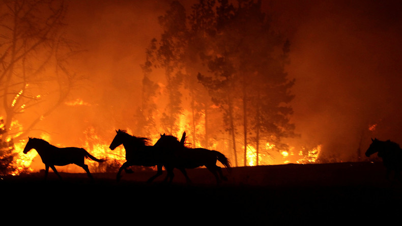 Jahrhundertfeuer wütet in Chile - Bilder aus dem Katastrophengebiet