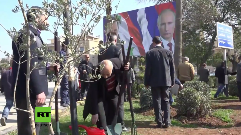 Als Zeichen für Frieden und Freundschaft: Russen und Syrer pflanzen Tausende Olivenbäume in Aleppo