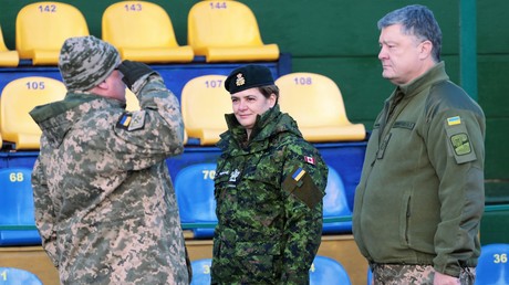 Reintegrations-Gesetz: Poroschenko ist einziger Profiteur - Donbass der große Verlierer