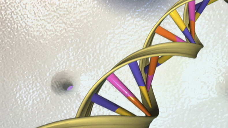Wissenschaft: Gene bleiben nach dem Tod noch aktiv