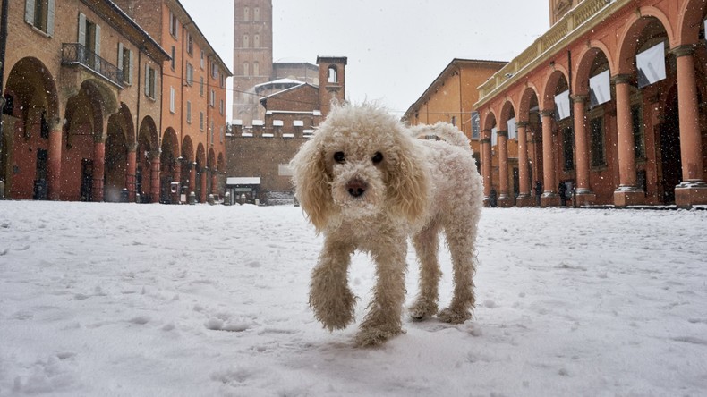 Schnee im Norden Italiens: Bologna nach heftigem Schneefall