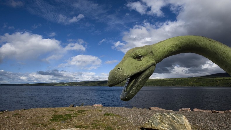 Ist das Ungeheuer von Loch Ness tot? Mysteriöses Nessie-ähnliches Wesen an US-Strand gespült