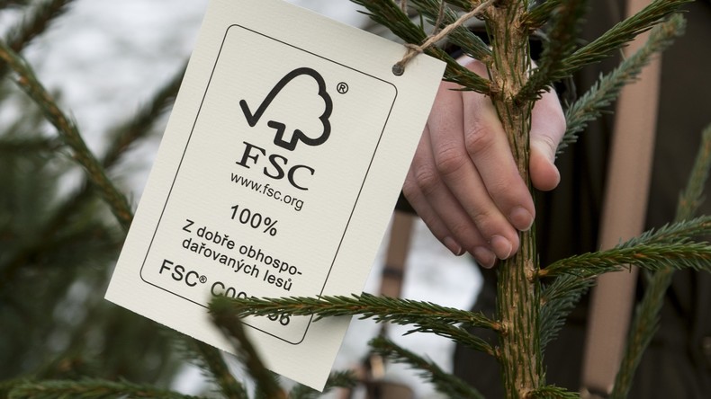 Greenpeace Deutschland verlässt FSC-Siegel für nachhaltiges Holz