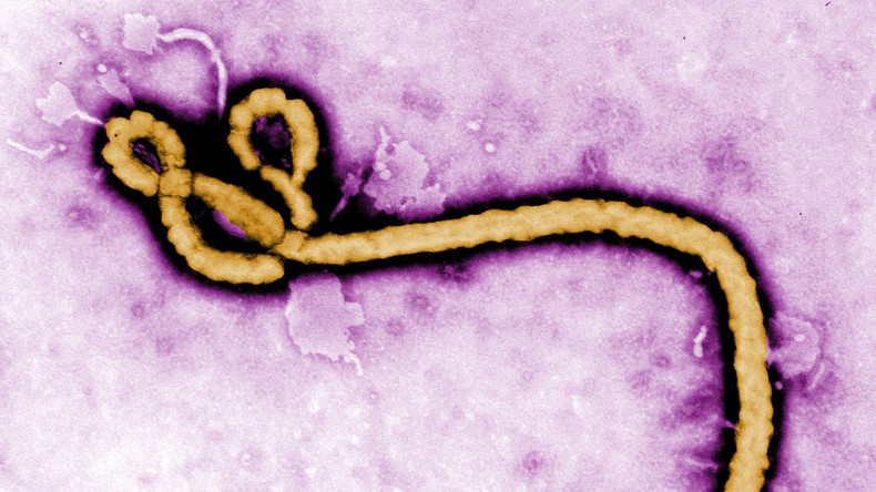 Neue Hoffnung auf universellen Ebola-Impfstoff