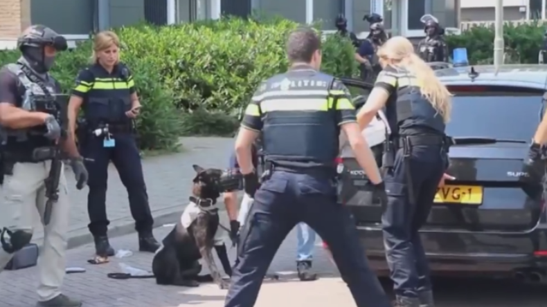 Niederlande: Syrer schreit bei Festnahme "Allahu Akbar" und tötet Polizeihund mit einer Axt