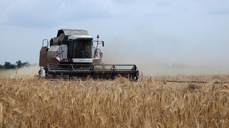 Russland verstärkt Investitionen in boomende Landwirtschaft der Krim 