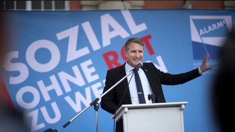 Die AfD: Soziale Heimatpartei oder neoliberaler FDP-Abklatsch?