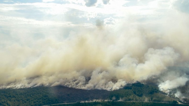 Schweden: Mit Fliegerbomben gegen Waldbrände