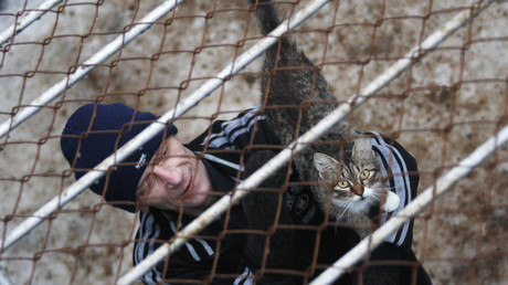 Schmuggler mit Pfoten: Russische Kriminelle schicken Kater als Drogenkurier ins Gefängnis