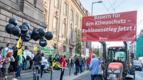 Rodung des Hambacher Waldes nicht für Energieversorgung notwendig - DIW-Studie