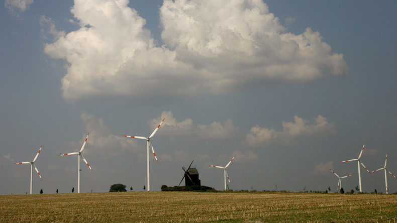 Roden für die Energiewende - Grüne stellen in Hessen Windräder in Naturpark