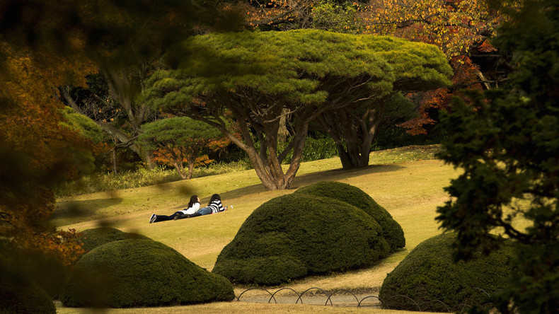 Parkwächter lässt tausende Touristen kostenlos in japanischen Park – aus Scheu, sie anzusprechen