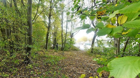 Gruppenvergewaltigung einer jungen Frau in Freiburg – Kritik an unzureichender Berichterstattung