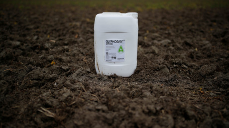 Streit um Glyphosat-Ausstieg: Umweltministerin Schulze legt eigenen Plan vor 