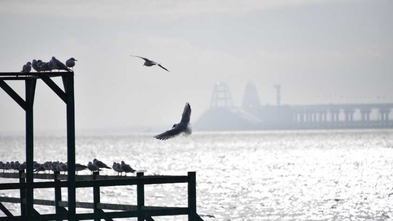 Kertsch-Vorfall: Deutschland will Beobachter ans Asowsche Meer schicken
