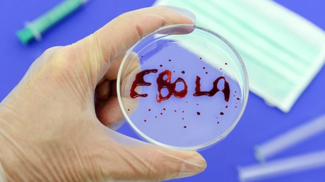 Ebola-Erreger erstmals in Fledermaus in Westafrika entdeckt
