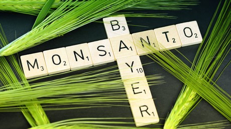 Glyphosat-Prozess gegen Bayer-Tochter Monsanto beginnt