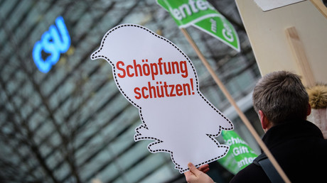 Glyphosat-Zulassungen ohne Tests – wie Koalitionsvertrag und Behörden umgangen werden