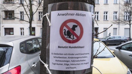 Verdeckte Ermittlungen der US-Polizei nach Hundebesitzern, die Hinterlassenschaften liegen lassen