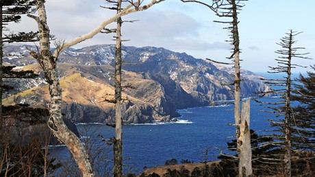 Japan und Russland erörtern wirtschaftliche Zusammenarbeit auf den Kurilen
