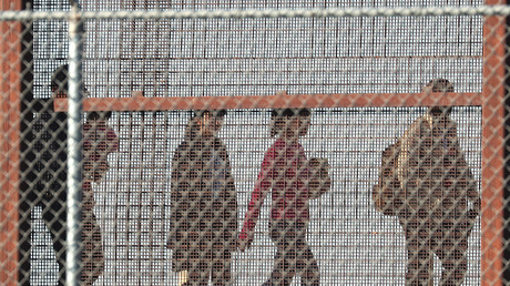 Konzentrationslager im "Land der Freiheit"? Hitzige Debatte um US-Internierungslager
