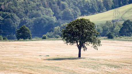 Hitzewelle adé – aber Waldbrandgefahr bleibt bestehen