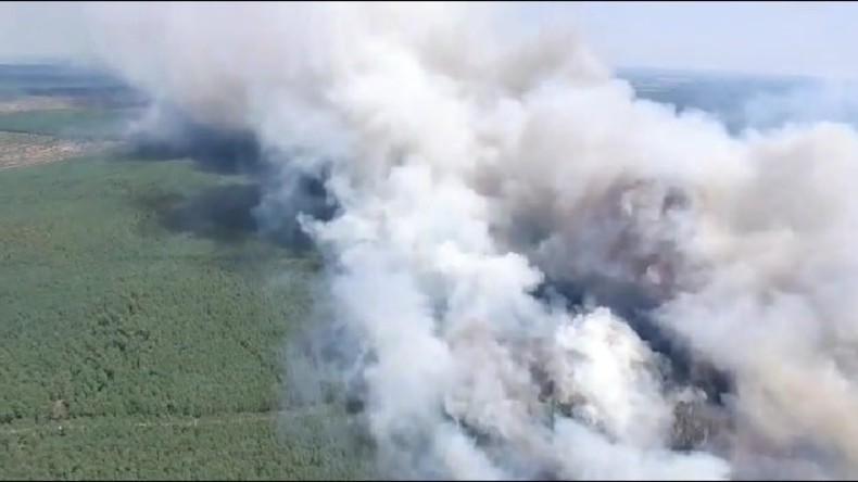 Waldbrand in Mecklenburg flammt auf – mehrere Dörfer evakuiert