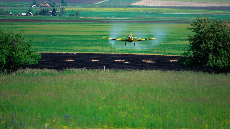 Immense Schäden: Israels Herbizide treffen nicht nur palästinensische Landwirte