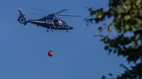 Waldbrand in Mecklenburg eingegrenzt – Einsatzkräfte hoffen auf Regen