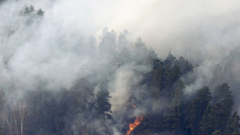Waldbrände in Sibirien: Militär muss zu Hilfe eilen