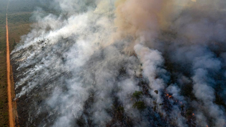Medien schauen nur auf Brasilien – aber auch in Angola und im Kongo brennt der Regenwald