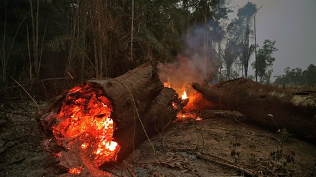 Soldaten bekämpfen Flammen im brasilianischen Regenwald