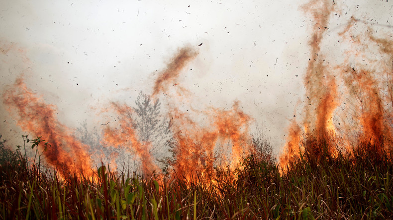 Die Brände im Amazonas-Regenwald: Was hinter den Schlagzeilen der Klimakatastrophe steckt