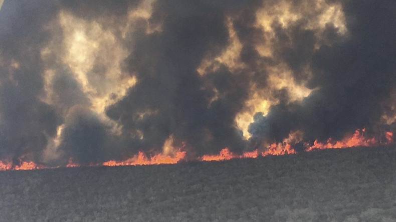 Verheerende Waldbrände in Bolivien – und keinen interessiert es