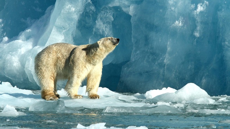LIVE: Weltklimarat präsentiert Bericht zu Folgen des Klimawandels für Ozeane und Eismassen