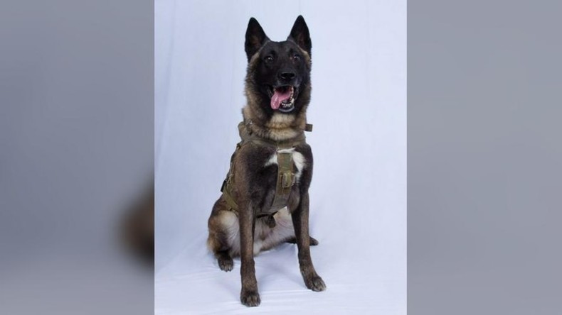 Trump veröffentlicht Foto des Hundes, der IS-Anführer Baghdadi "in die Ecke trieb"